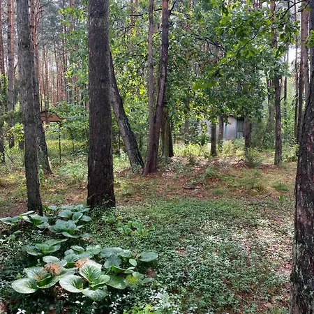 Przytulny Domek W Lesie Blisko Rzeki Ryczywol  Exterior photo