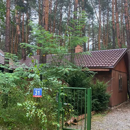 Przytulny Domek W Lesie Blisko Rzeki Ryczywol  Exterior photo