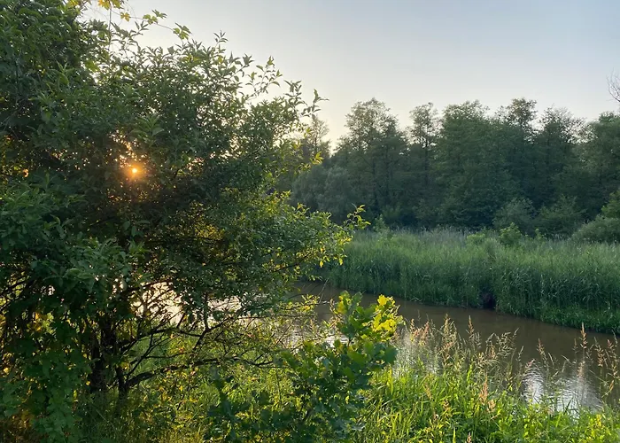 Przytulny Domek W Lesie Blisko Rzeki
