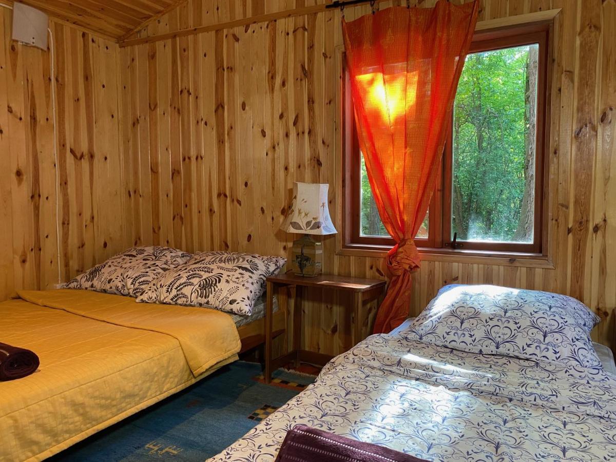 Holiday home Przytulny W Lesie Blisko Rzeki
