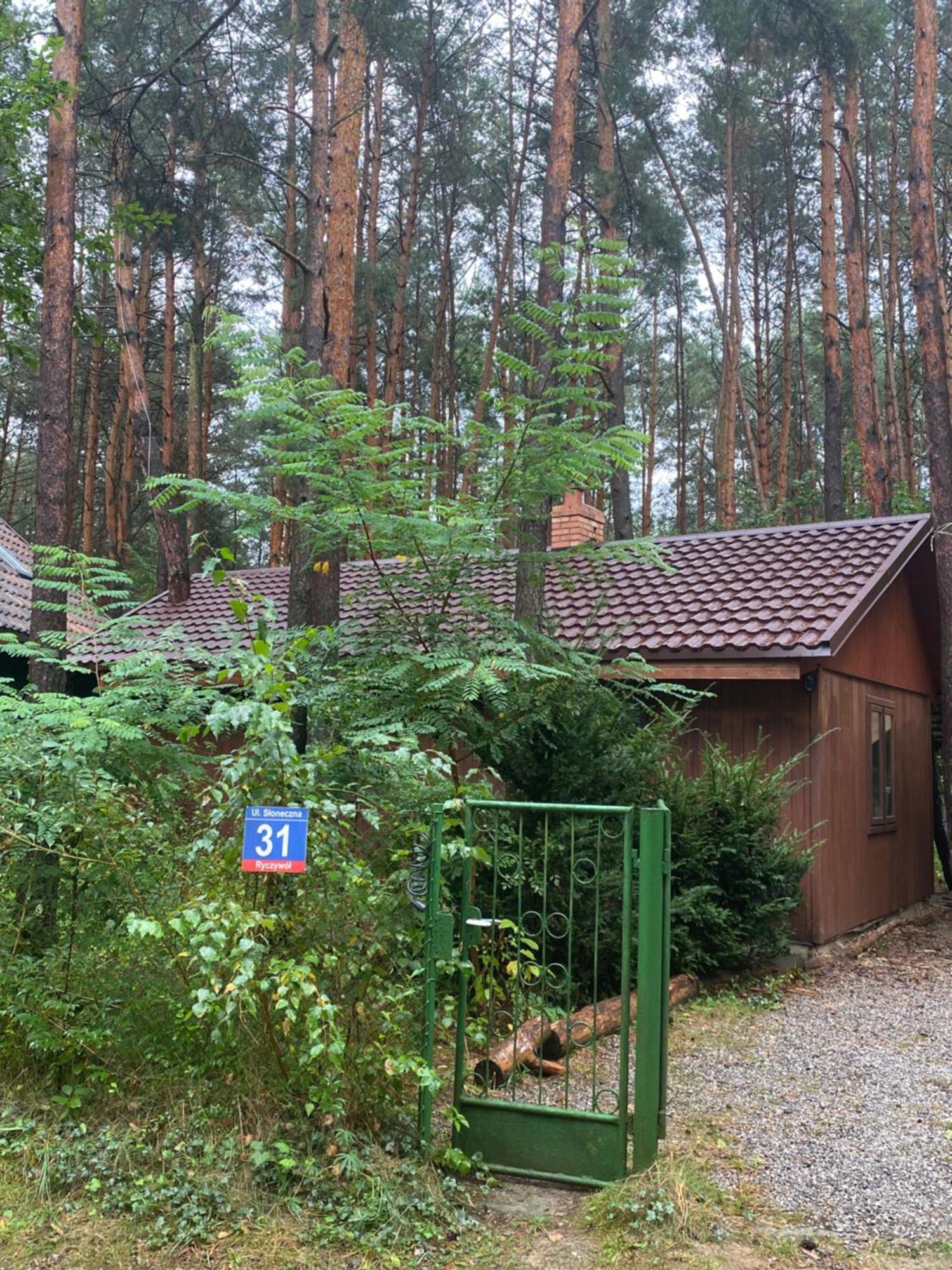 Przytulny W Lesie Blisko Rzeki Holiday home Ryczywol (Masovia)